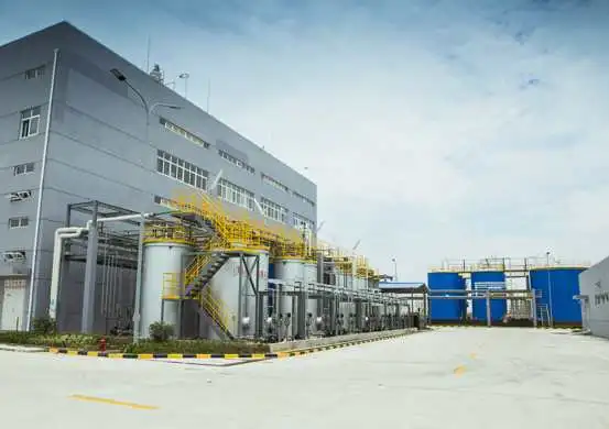 phytosterols factory phytosterols factory